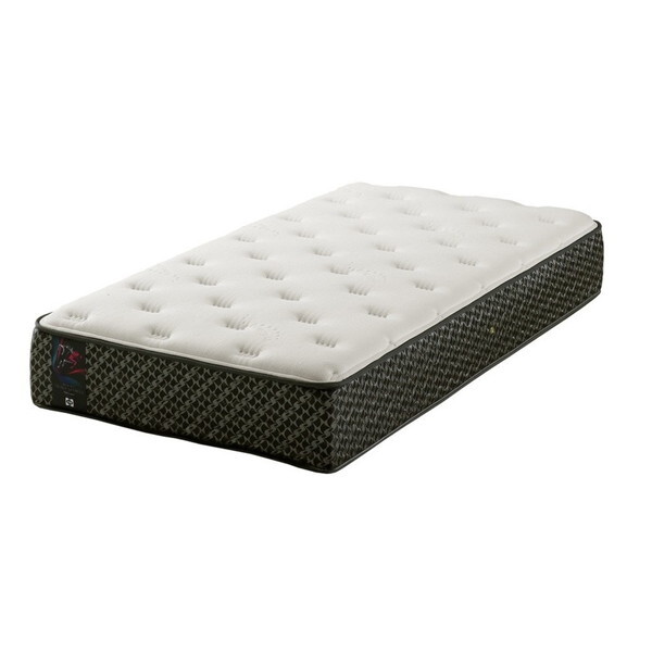 Sealy V[[X|[c Xs[h}bX _uChTCY}bgX