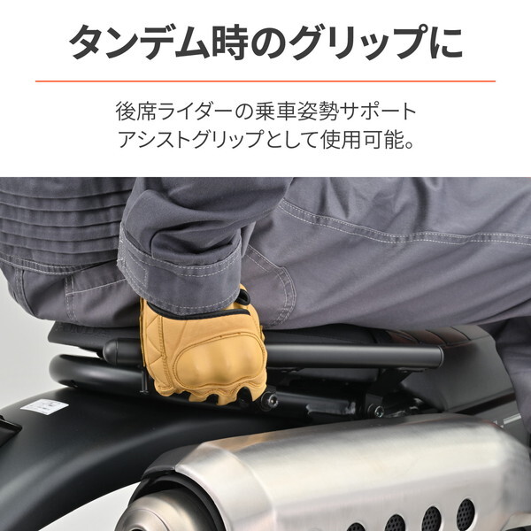 デイトナ　CL250 キャリア グラブバーキャリア CL250/500（'23）｜株式会社デイトナ