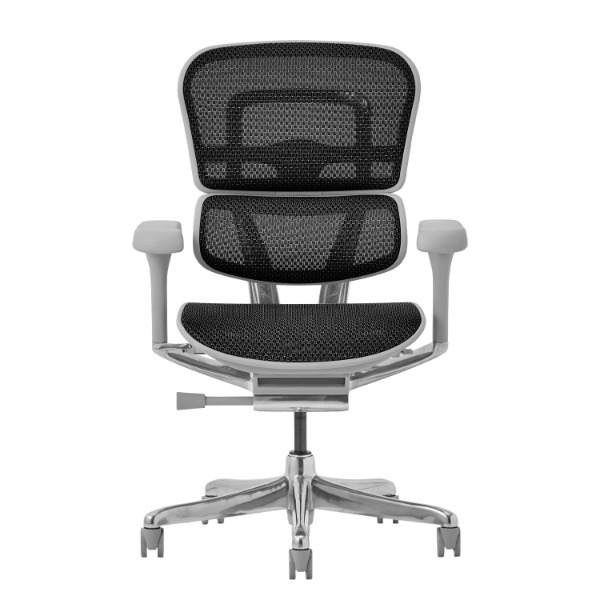 �։Ƌ� 507938 EHP2-LAM-5D-DR-GF-BK �O���[�t���[��/�u���b�N���b�V�� PRO2 Low Type [�I�t�B�X�`�F�A]