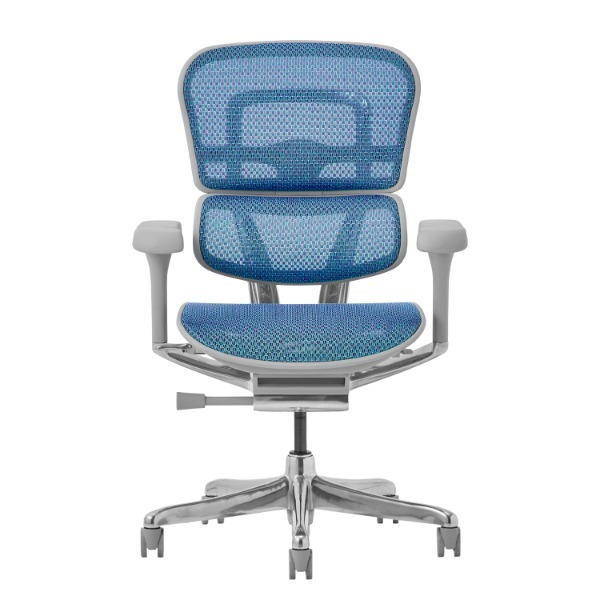 �։Ƌ� 507941 EHP2-LAM-5D-DR-GF-BL �O���[�t���[��/�u���[���b�V�� PRO2 Low Type [�I�t�B�X�`�F�A]