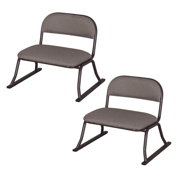 GCEACEGX 炭炭֎q×2rZbg ERCL-800BR×2pcs uE