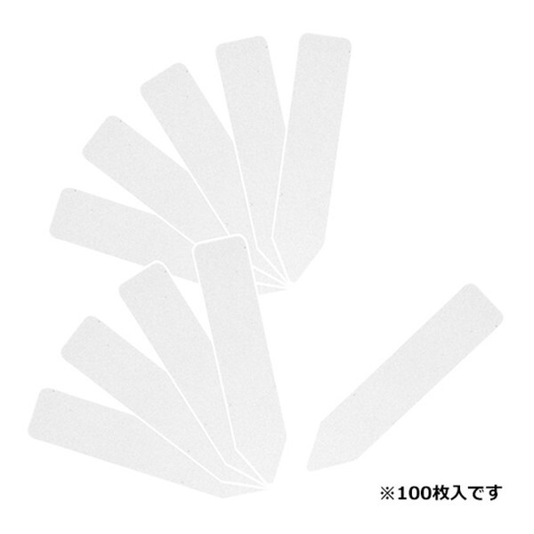 ZteB[3 |px񂴂100 60mm