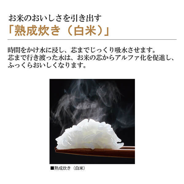 ZOJIRUSHI 象印 炊飯器 極め炊き ステンレスブラウン NP-GK05