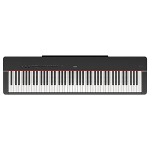 電子ピアノ・キーボード・シンセサイザー