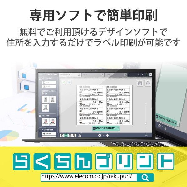 ELECOM EDT-LPSE820 ラベルシール 宛名シール マルチプリント紙