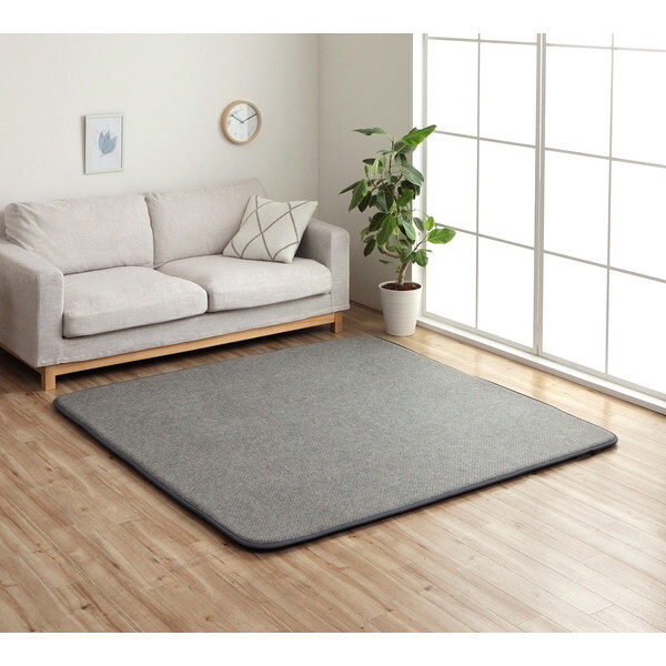 CPqRER[|[V 1293140015002 iCX30 3p  180×235