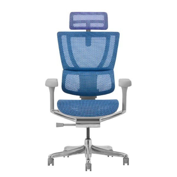 �։Ƌ� 507961 FIT2-HAM-5D-DR-GF-BL �O���[�t���[��/�u���[���b�V�� FIT2 [�I�t�B�X�`�F�A]