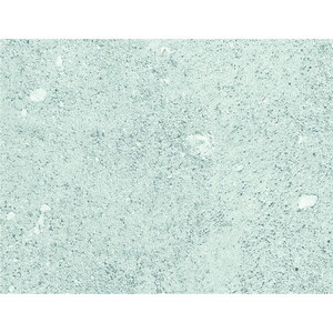 カーペット・ラグ