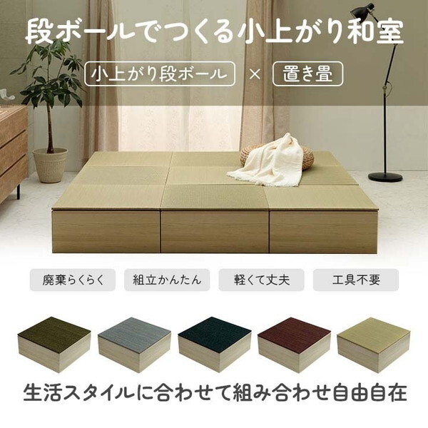 イケヒコ・コーポレーション 1040150120430 畳 ユニット 置き畳 小 