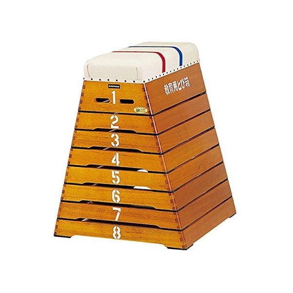 エバニュー EKM410 指導ライン入リマット滑止120×300×5 【法人限定