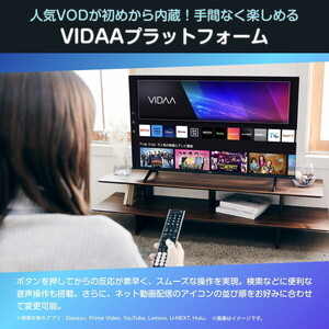 Hisense 65E6N [65V型 地上・BS・110度CSデジタル 4K内蔵 液晶テレビ