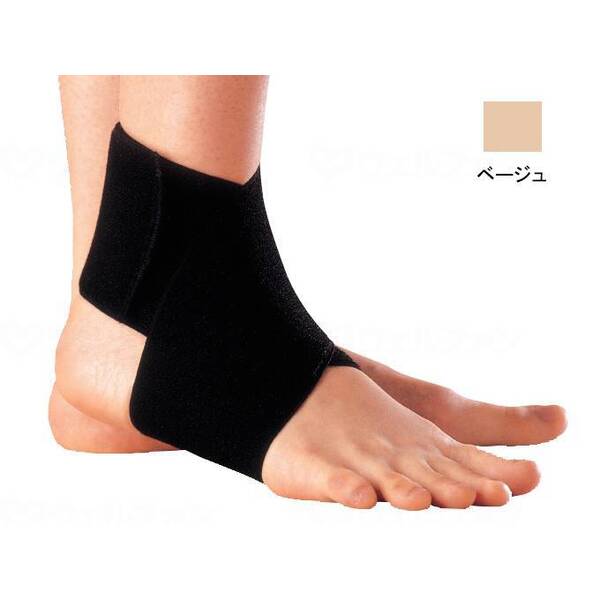 APA ANNX Ep x[W t[ 16971