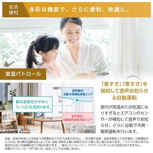 DAIKIN S405ATAP-W ホワイト AXシリーズ [エアコン (主に14畳用・単相
