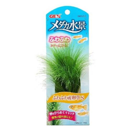 WFbNX _JiӂӂYS