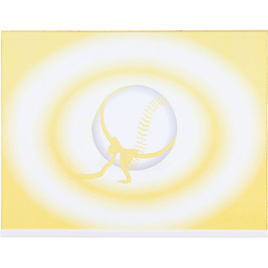 野球メンテナンス用品