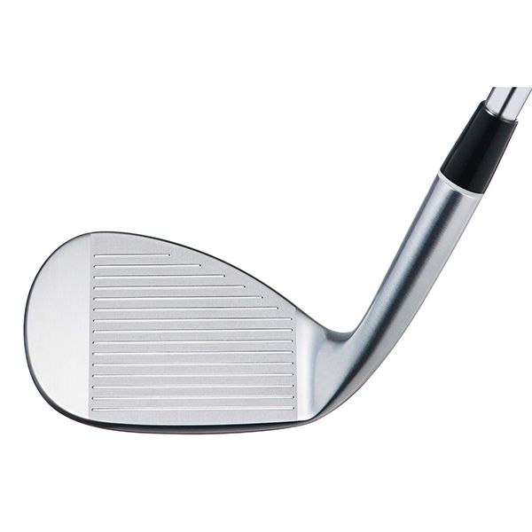 日本正規品】 フォーティーン(FOURTEEN) C036 ウェッジ N.S.PRO