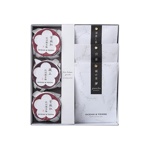 OCEAN&TERRE Premium IB썂~&{ZbgE A585