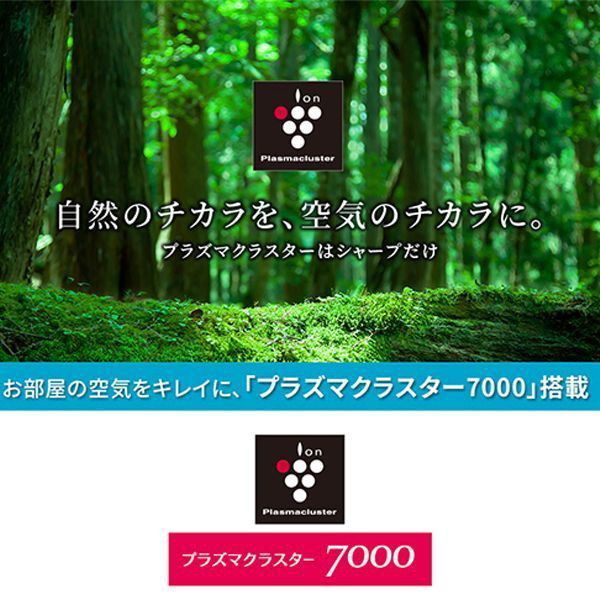 ●訳アリ　格安！！●シャープ　プラズマクラスター　エアコン　AY-N22DH 主に6畳　中古品●厨房向け●相模原　横浜　神奈川●冷房6-9畳● SHARP AY-N22DH-W [エアコン (主に6畳用)] | 激安の新品・型落ち