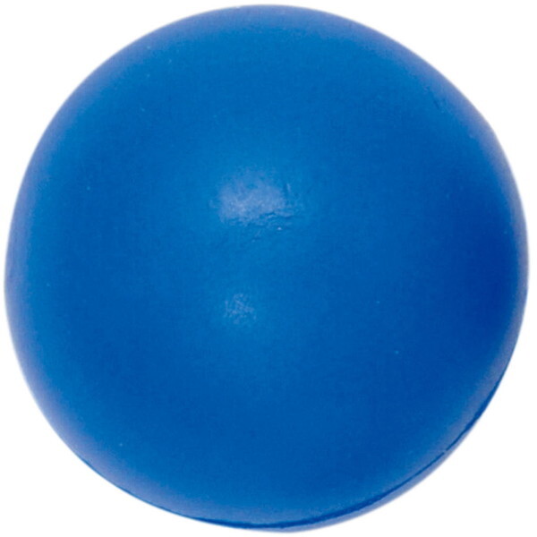 g[GCCg wZ̈ 炩{[ 101g u[ B6341B