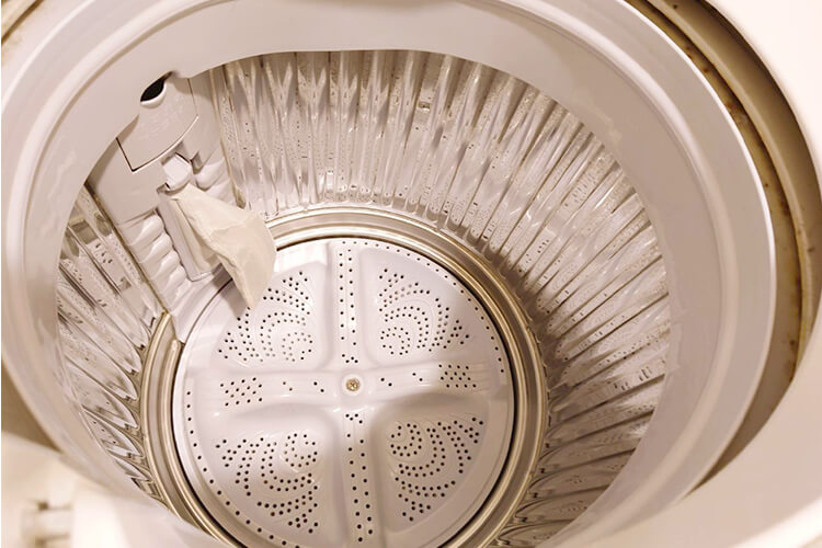 内側はきれいに見えても裏側は汚れがびっしり！洗濯機の槽洗浄って何？