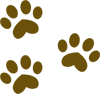 ペット