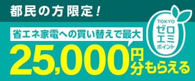 東京ゼロエミポイント　最大20,000円分もらえる！