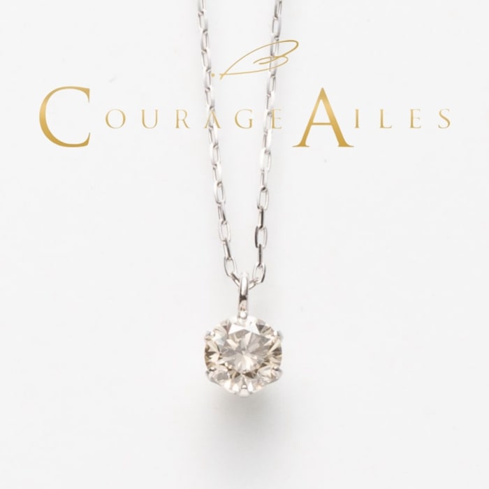 PDA-1504PT 詳細画像1