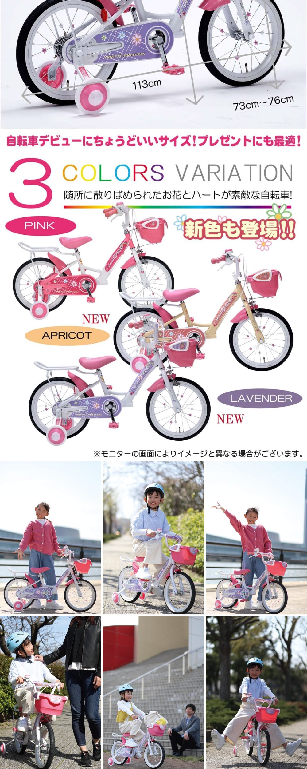 MD-12 アプリコット 詳細画像2