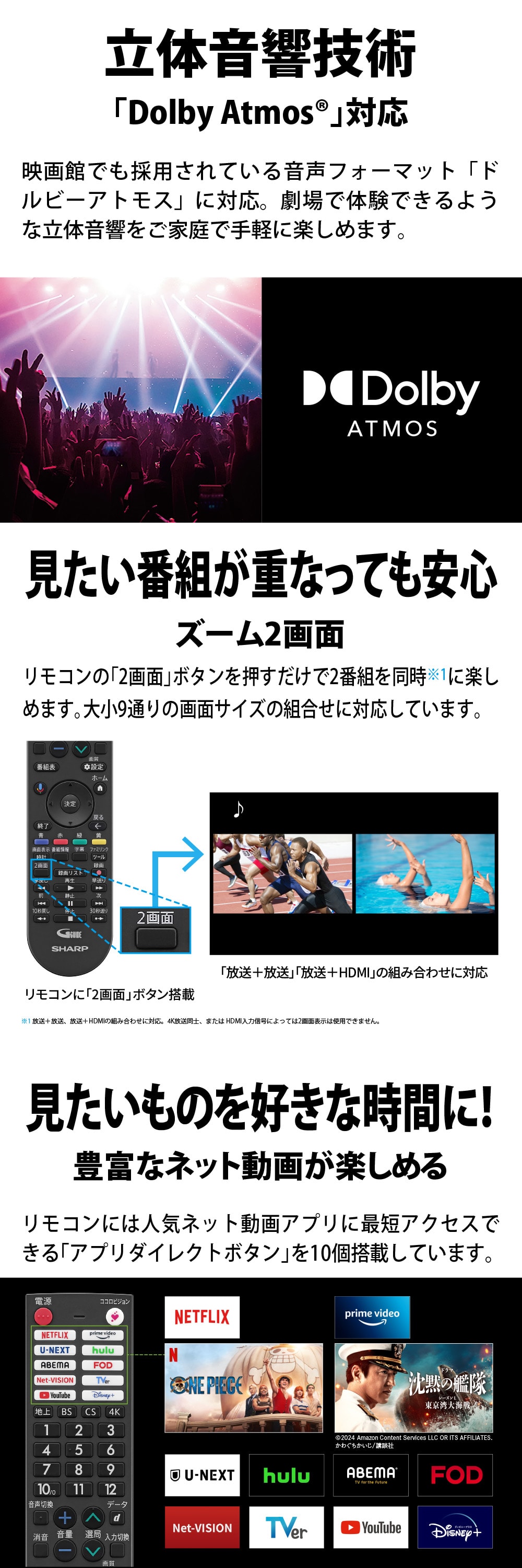 4T-C43GN2 詳細画像2