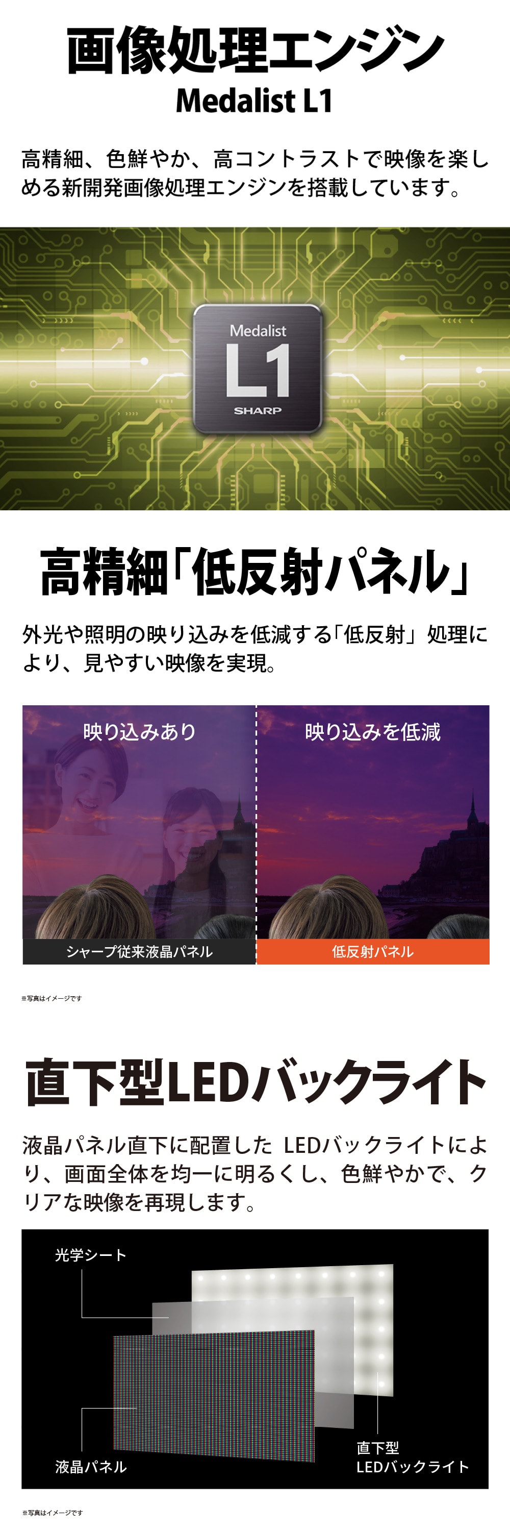 2T-C43GF2 詳細画像1