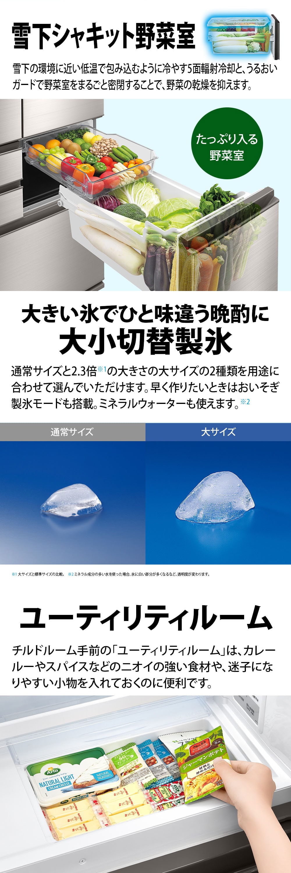 SJ-SF50P-S 詳細画像4