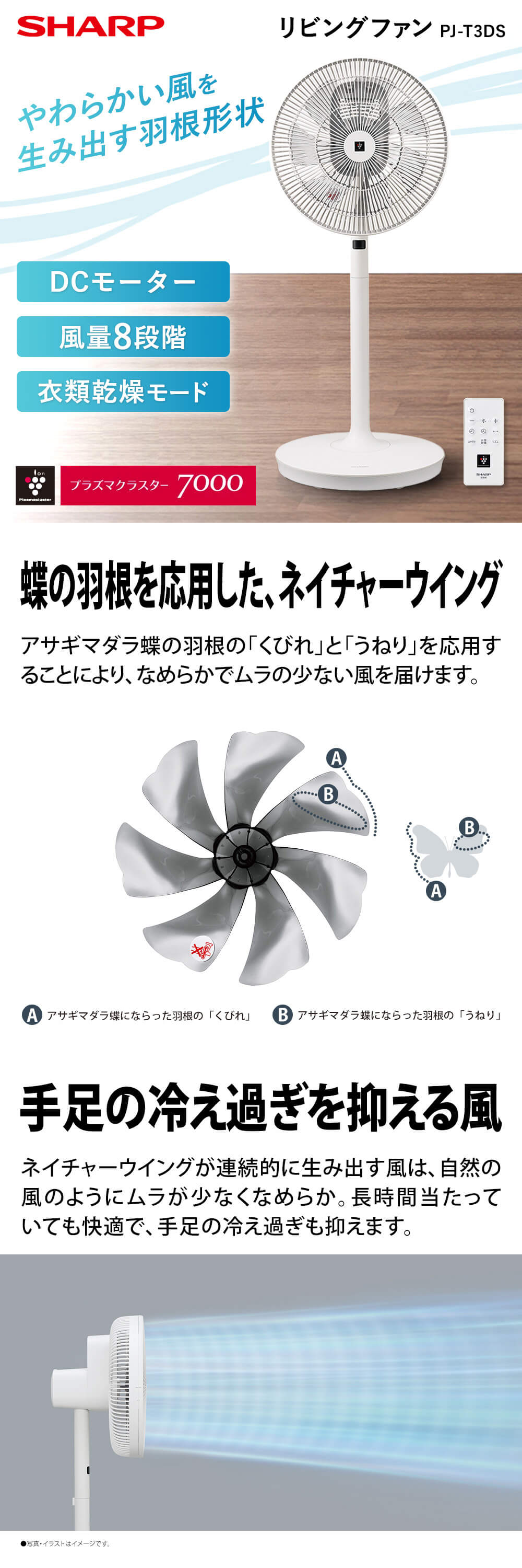 PJ-T3DS-W 詳細画像1