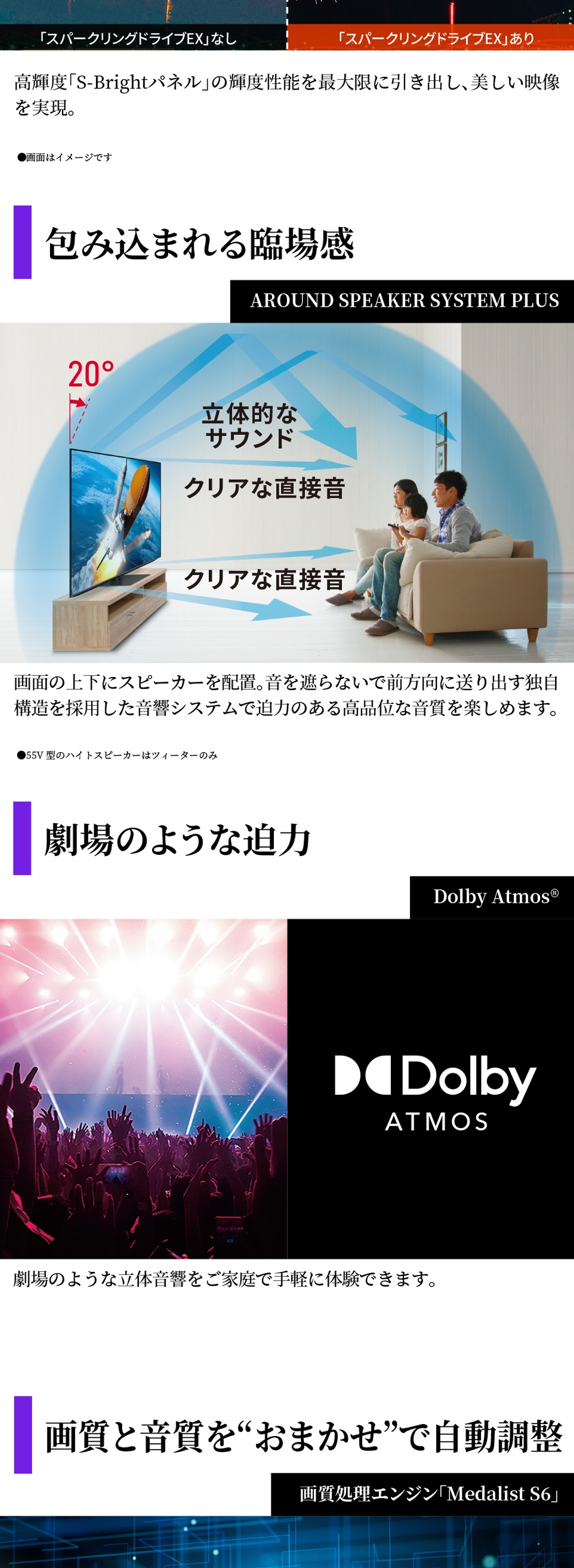 4T-C55HQ1 詳細画像2