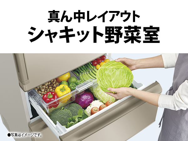 SJ-X373P-N 詳細画像2