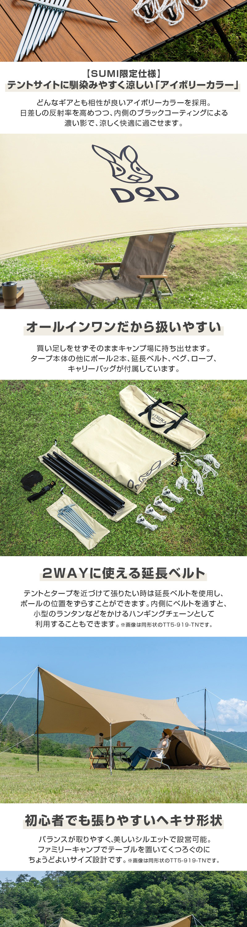 TT5-275-IV 詳細画像2