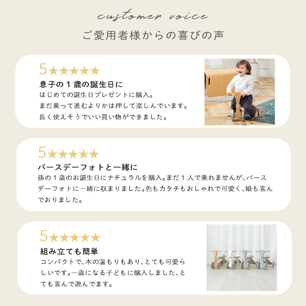 HOPPL ファーストウッディバイク シーグリーン WDY02-SG 詳細画像10