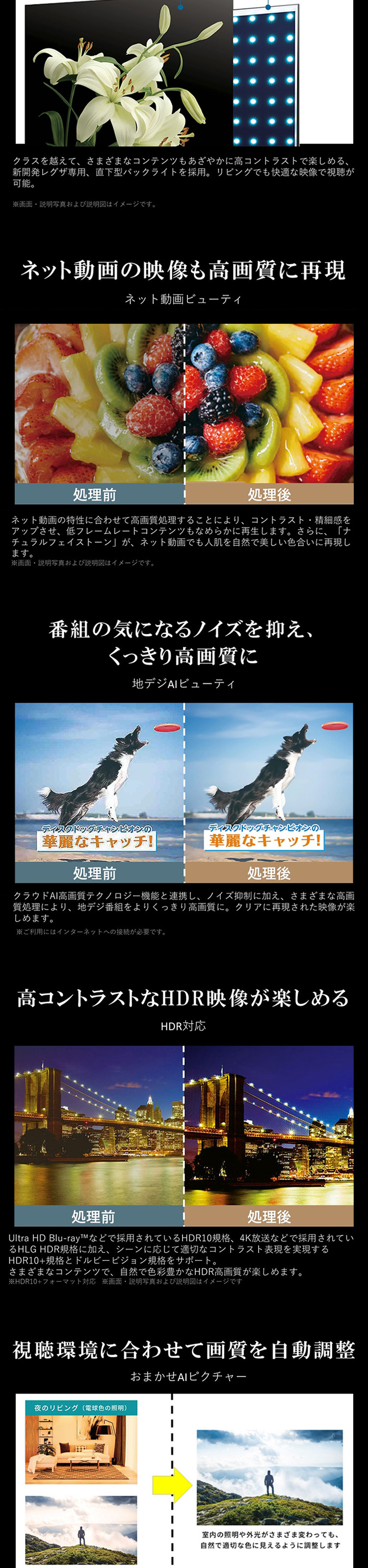 75M550M 詳細画像2