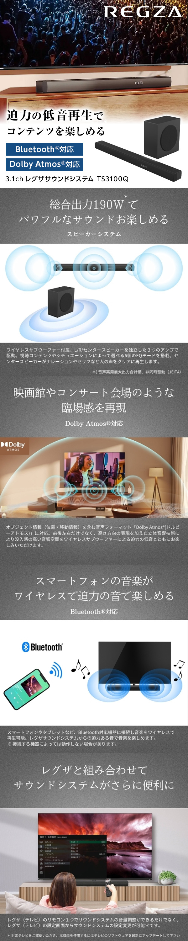 TS3100Q 詳細画像1