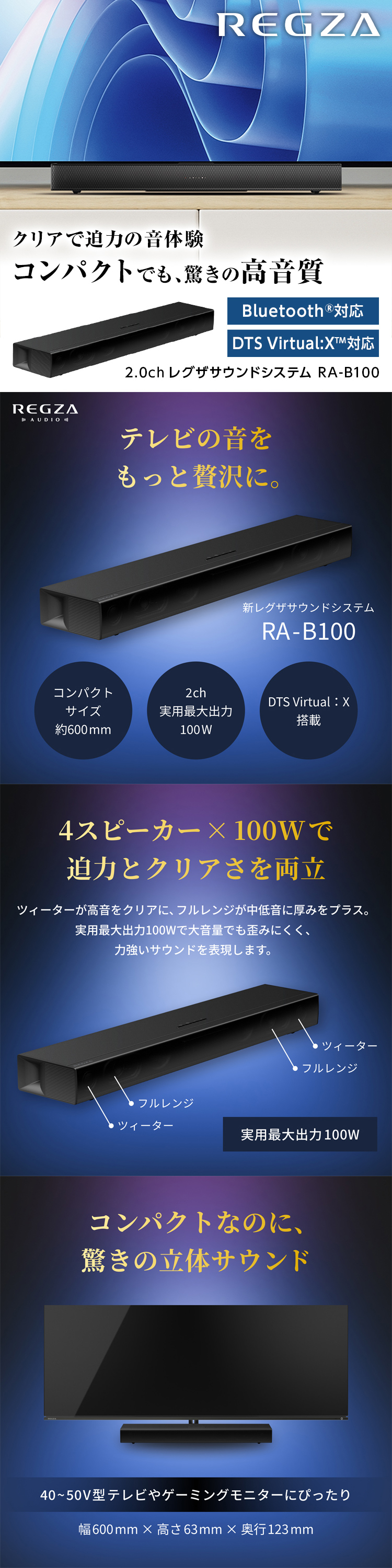 RA-B100 詳細画像1
