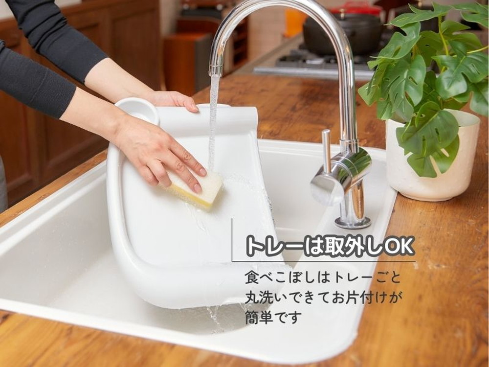 イングリッシーナ ファスト 詳細画像15