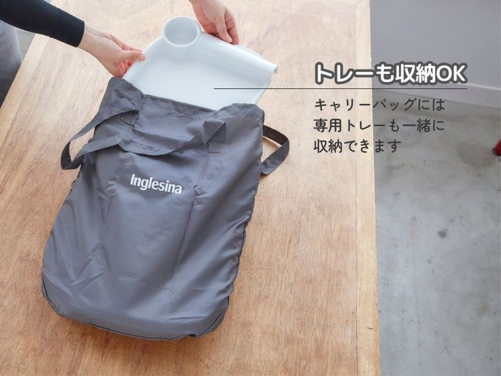 イングリッシーナ ファスト 詳細画像16