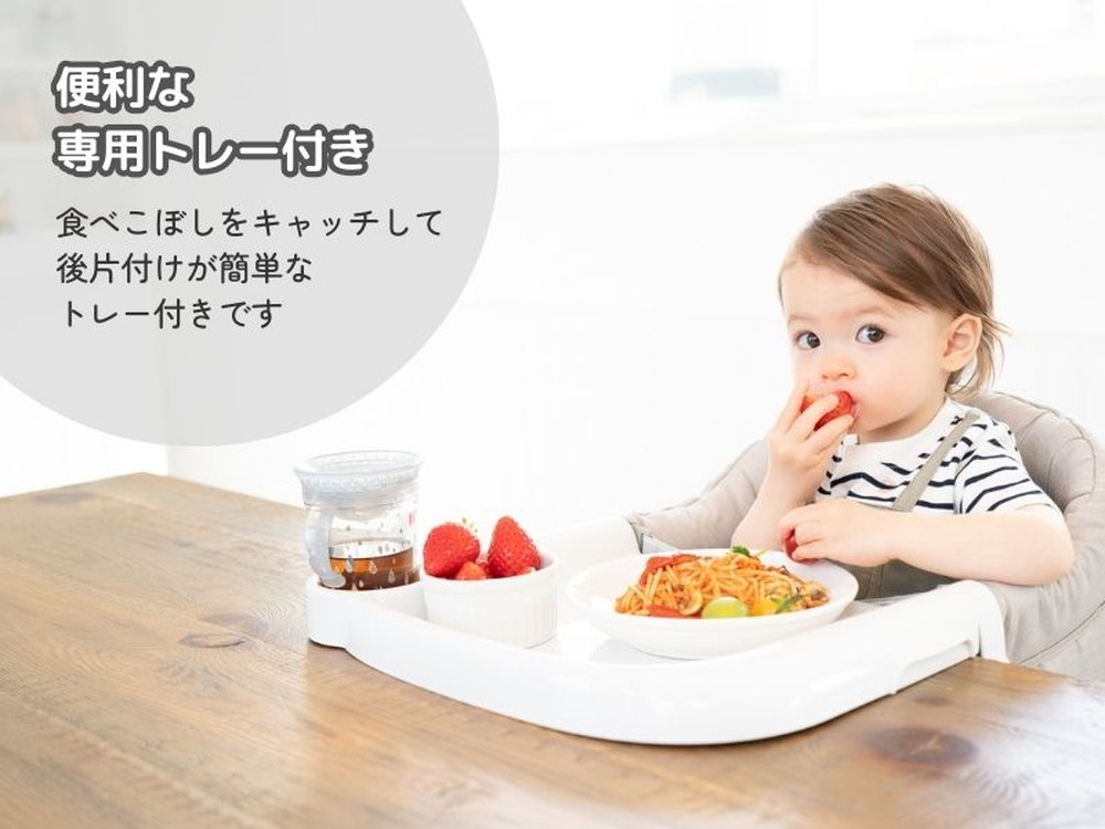 イングリッシーナ ファスト 詳細画像4