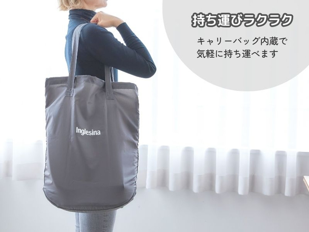 イングリッシーナ ファスト 詳細画像6