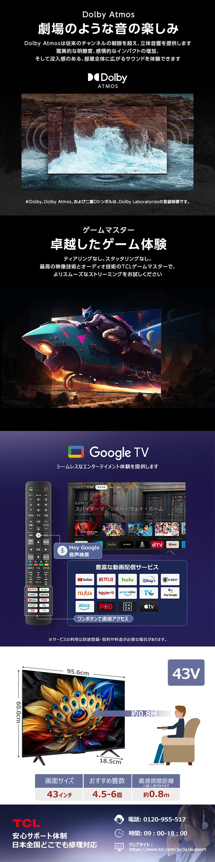 43C655 詳細画像2