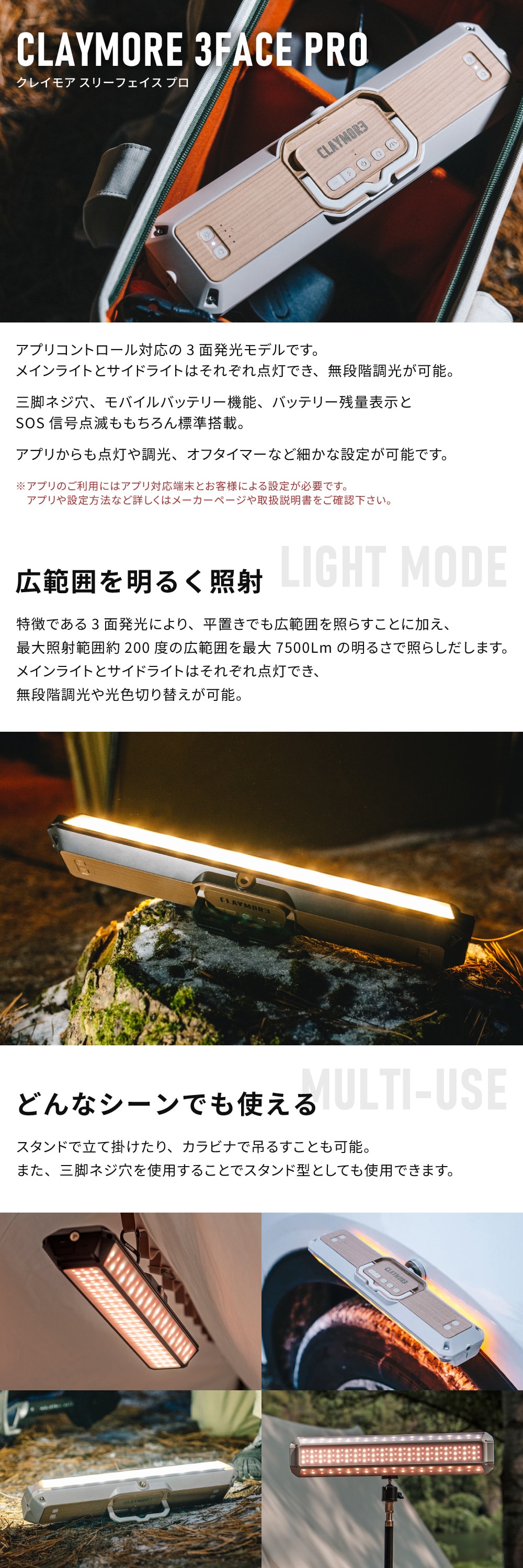 クレイモア CLAYMORE CLFP-3000 LIGHTGRAY 3FACE PRO L 詳細画像1