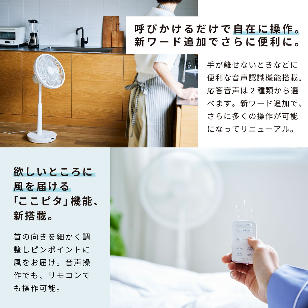 SF-V191(W) 詳細画像3
