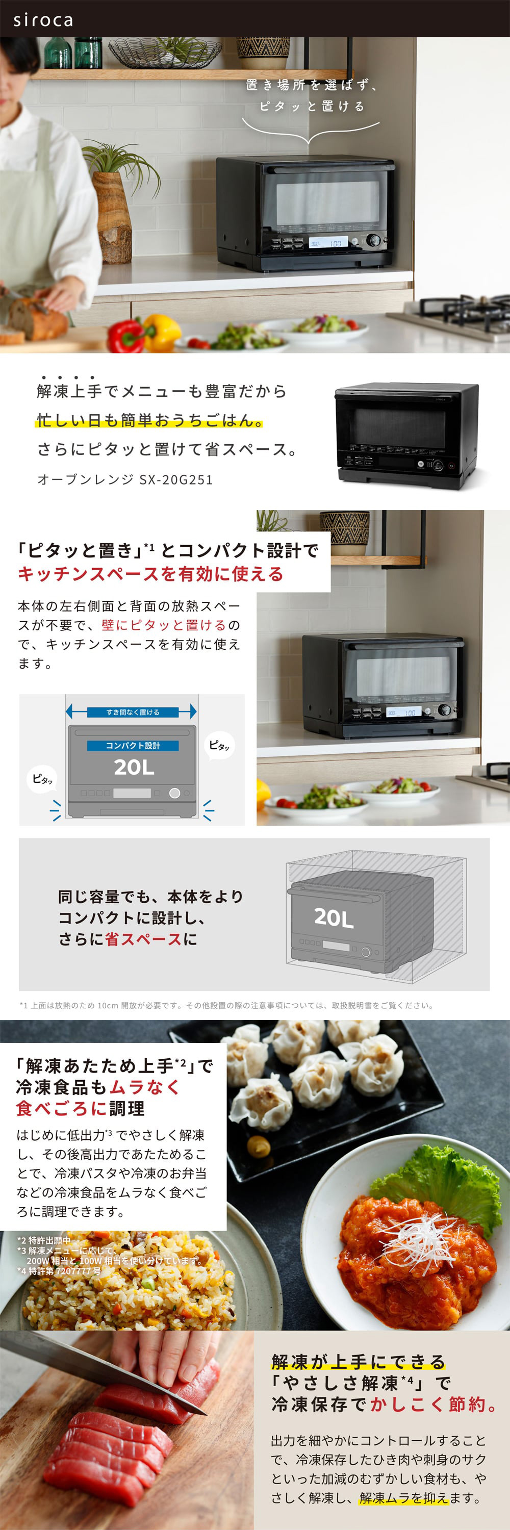 SX-20G251 詳細画像1