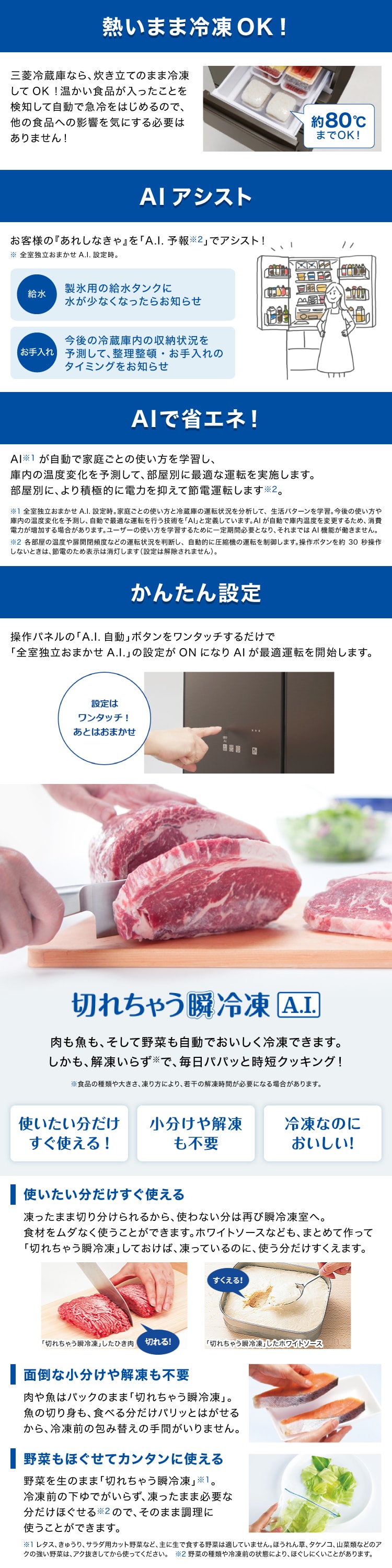 MITSUBISHI MZシリーズ 詳細画像2
