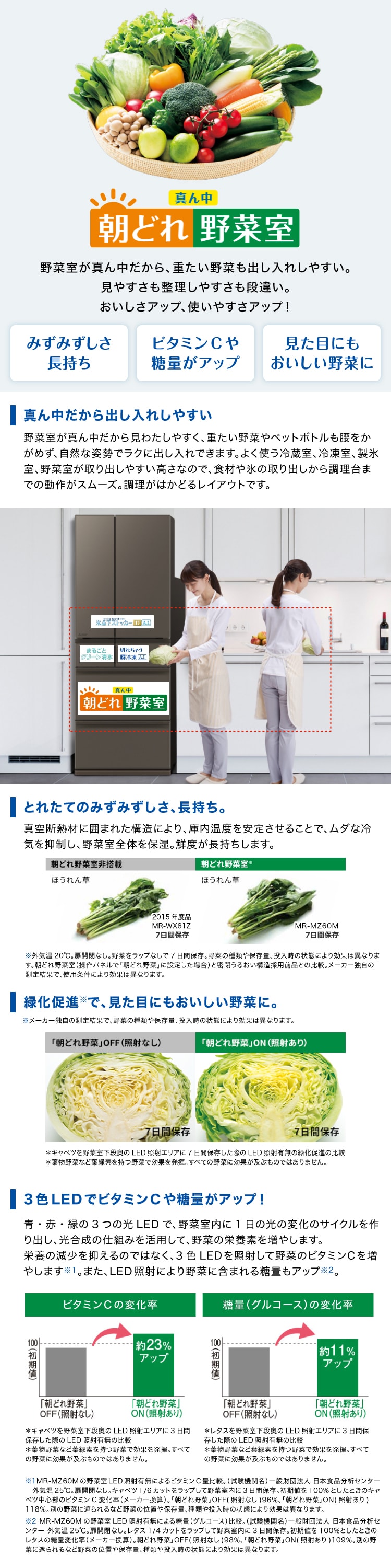 MITSUBISHI MZシリーズ 詳細画像4