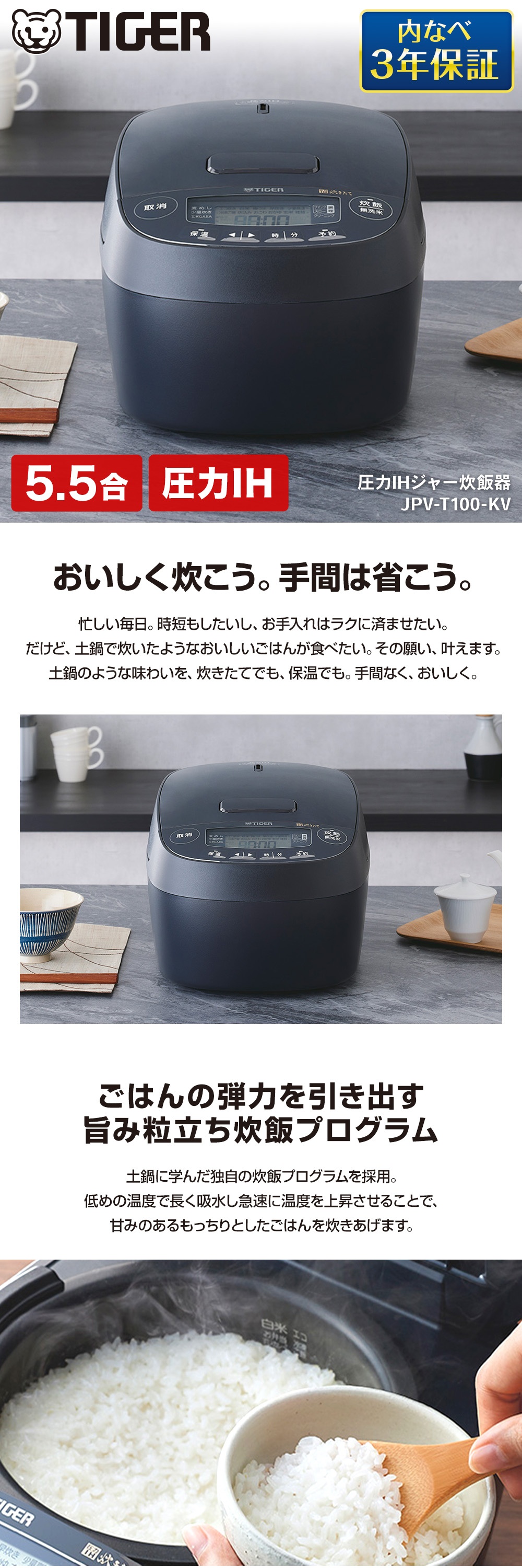 JPV-T100-KV 詳細画像1